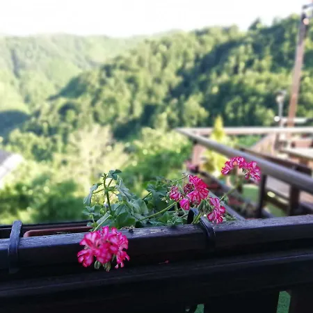 родопско кътче Къща за гости *